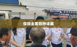 保险主要险种详解概览