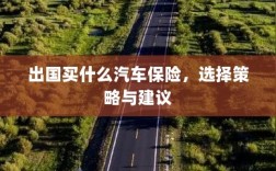 出国购车保险指南，选择策略与建议