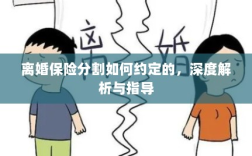 离婚保险分割深度解析与指导，约定要点及操作流程
