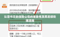 认定书对保险公司的重要性及后续处理流程详解