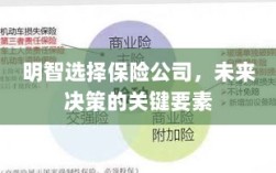 明智选择保险公司，未来决策的关键要素概览
