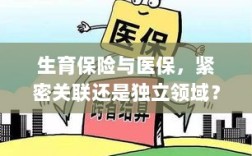生育保险与医保，紧密关联还是独立领域探讨？