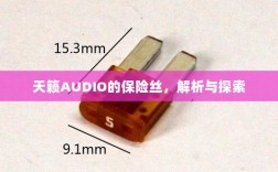 天籁AUDIO保险丝解析与探索