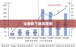 注册制下融资限制深度研究