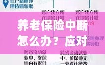 养老保险中断应对指南，解决方案与策略全解析