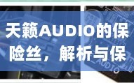 天籁AUDIO保险丝，解析与音频系统保护的关键要素