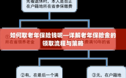 详解，老年保险金的领取流程与策略指南——如何顺利获取老年保险金？