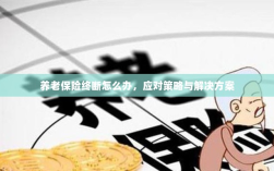 养老保险中断应对指南，解决方案与策略