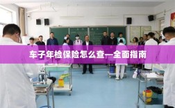 全面指南，如何查询车辆年检保险信息
