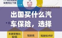 出国购车保险指南，选择、考量与决策攻略