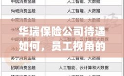 华瑞保险公司员工待遇全面解析，员工视角透视公司福利待遇