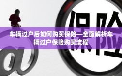 车辆过户后保险购买指南，全面解析车辆过户保险购买流程