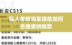 私人老板购买保险如何合理缴税，策略与指南