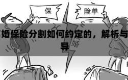 离婚保险分割约定详解与指导手册