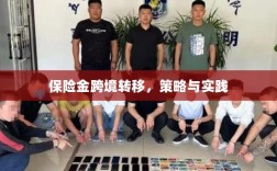 保险金跨境转移的策略与实践探讨