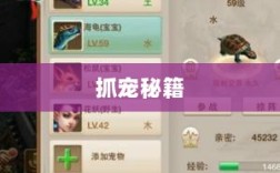 问道手游，宠物捕捉攻略，轻松掌握抓宠秘籍