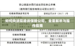 保险公司追诉指南，向法院追诉的全面解析与操作指南