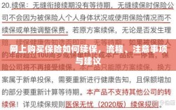 网上保险续保指南，流程、注意事项及建议