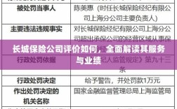 长城保险公司评价全面解析，服务质量与业绩表现深度探讨