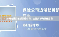 保险公司追诉指南，向法院追诉的全面解析与操作指南