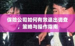 保险公司调查退出策略与操作指南，有效方法与步骤