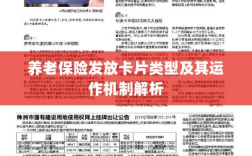 养老保险发放卡片类型与运作机制深度解析