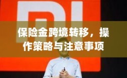 保险金跨境转移，操作策略及注意事项指南