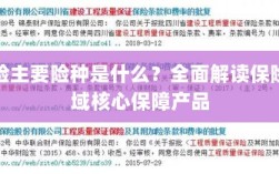 全面解读保险领域核心保障产品，主要险种介绍与解析