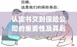 认定书交到保险公司的重要性及后续处理流程详解