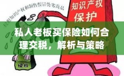 私人老板如何合理购买保险并交税，解析与策略指南