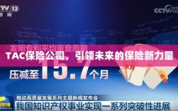 TAC保险公司，引领保险行业新力量崛起