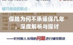 深度解析与探讨，保险承诺期限的隐衷与考量
