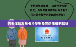 养老保险发放卡片类型与运作机制深度解析