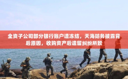 全资子公司部分银行账户遭冻结，天海防务披露背后原因，收购资产后遗留纠纷所致