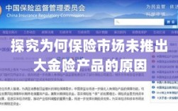 保险市场未推出大金险产品的原因探究