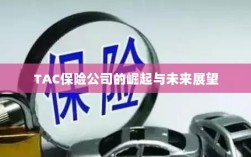 TAC保险公司的崛起及未来展望