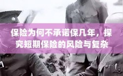 探究短期保险的风险与复杂性，为何保险公司不承诺长期保障？