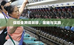 保险金跨境转移的策略与实践探讨