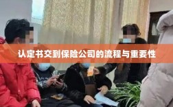 认定书交到保险公司的流程及其重要性概述