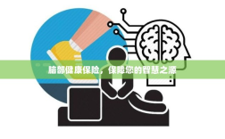 脑部健康保险，守护智慧之源的全方位保障