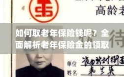 全面解析，老年保险金的领取流程与注意事项指南——如何顺利领取老年保险金？