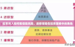 保险风险视角下的投资策略，透视保险在投资中的多重角色与考量因素