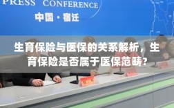 生育保险与医保关系解析，生育保险是否归入医保范畴？