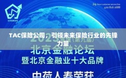 TAC保险公司，领航未来保险行业，成为先锋典范