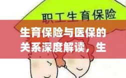 生育保险与医保深度解析，生育保险是否纳入医保范畴？