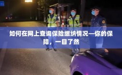 网上查询保险缴纳情况，保障一目了然