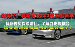 特斯拉保险购买优惠及赠品活动，把握机会了解详情