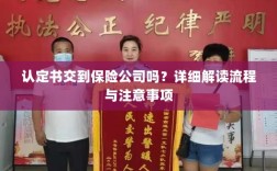 关于认定书交到保险公司的详细解读流程与注意事项解析