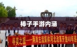 棒子手游，深度解析其内涵与魅力