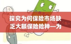 探究保险市场大额险种缺失之谜，为何难见大金险身影？